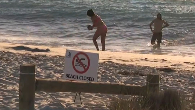 Swimmer Bitten by Tiger Shark at Fremantle’s Sandtrax Beach
