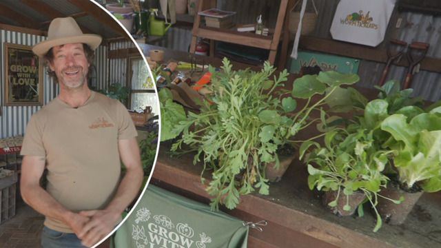 How to get rid of gnats from houseplants: Melbourne man shares simple hack  using three products