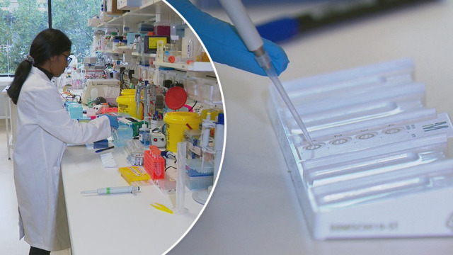 going back on semaglutide How Fast Does Semaglutide Work? Week-by-Week Timeline & Results