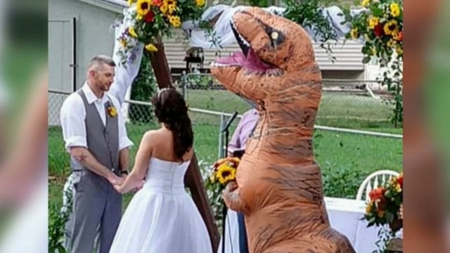 dinosaur bridesmaid dress Maid Of Honor Wears T-Rex Costume To Her Sister's Wedding After Being Told She Could Wear 'Anything'