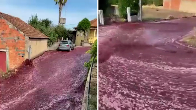 Portugal Wine flood: Portuguese town flooded by 2.2 million litres of wine