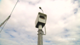 Police hunt for man who tried to torch speed camera 