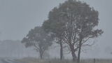 Icy temperatures, winds lash Queensland