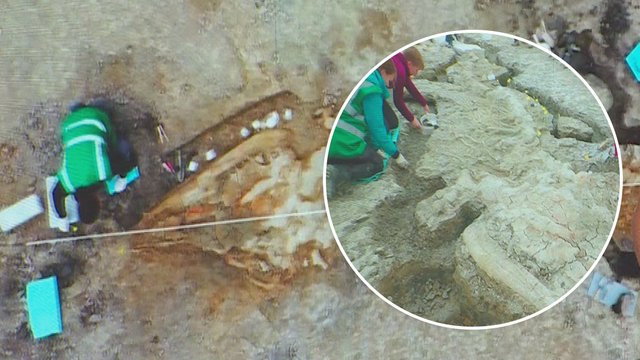 Rare 180 million-year-old 'sea dragon' fossil found after lagoon drained in UK