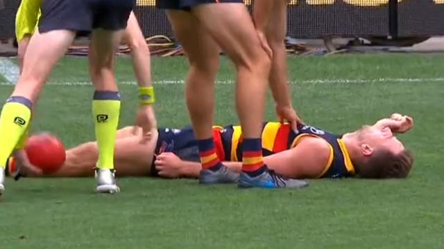 AFL Brodie Smith concussion update Adelaide Crows star reveals