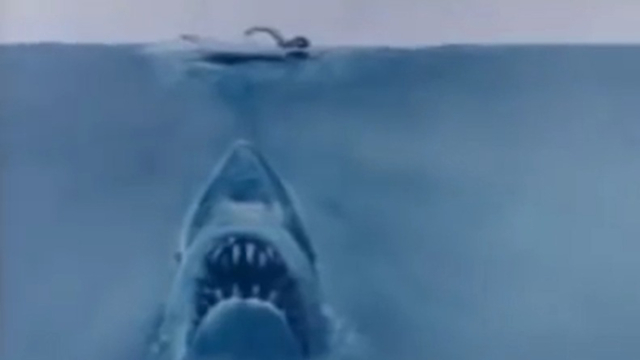 Large great white shark lurks off New Jersey coast