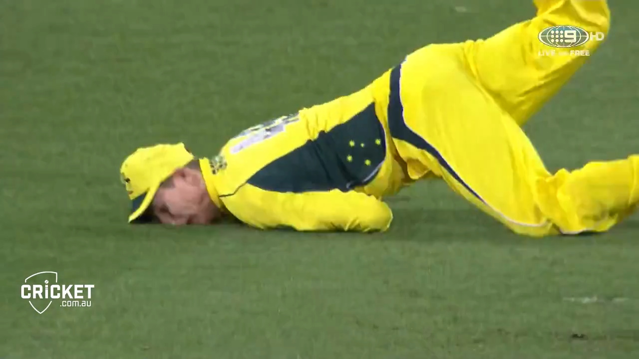 Test stars, hopefuls, on show in Shield | cricket.com.au