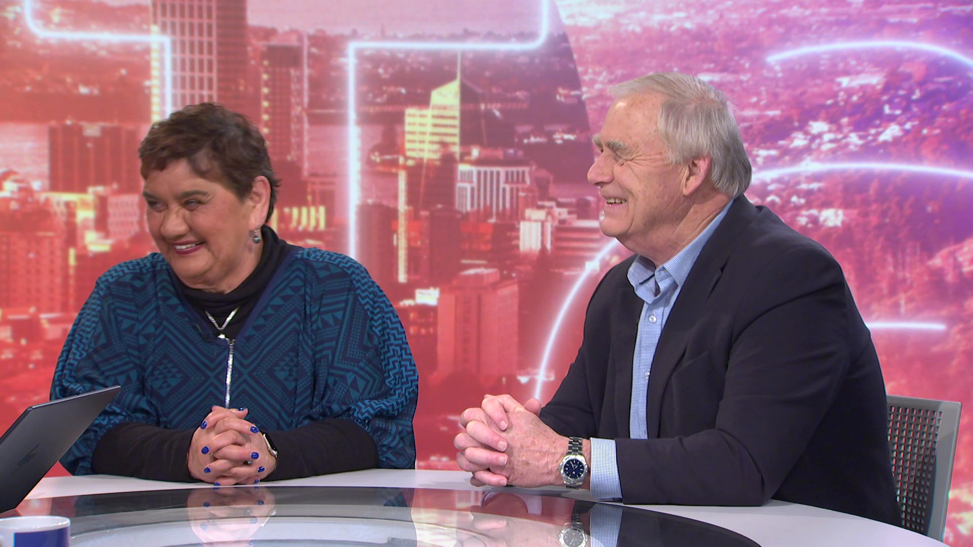 Former Minister Criticizes Recent National Party Leadership Challenge