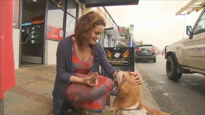 My God She Can Run Woman At Centre Of Hilarious Kawakawa Dog Escape Video Says Lily Is Enjoying Her 15 Minutes Of Fame 1 News Tvnz