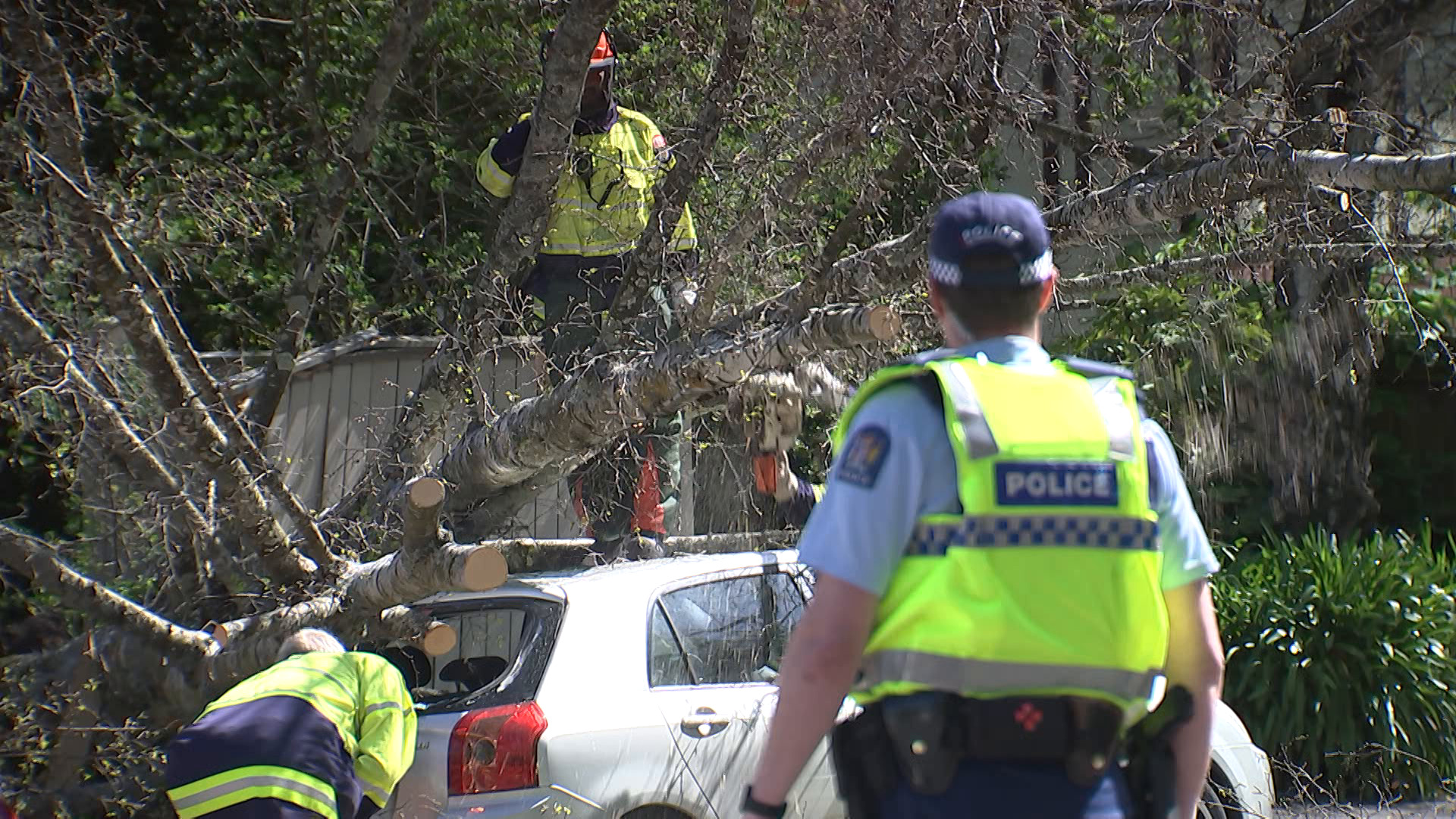 Fire crews work to clean up fallen tree as high winds lash Christchurch