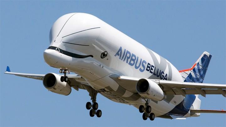  O mais recente avião a Airbus, Beluga XL, parece uma baleia e  será só para carga
